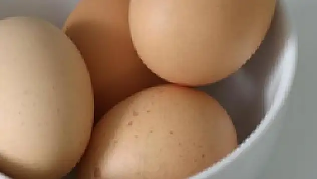 Yumurta üretimi arttı