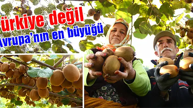 Türkiye değil Avrupa'nın en büyüğü