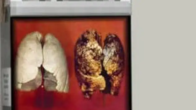 Sigarada Yeni Dönem!