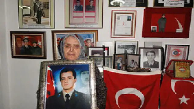 Bülent Arınç'ın Sözleri, Şehit Annesini Üzdü