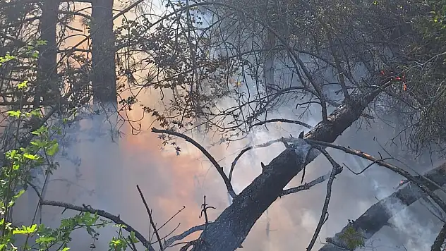 2 dekar alan zarar gördü