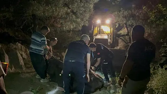 2 gündür kayıp olarak aranan inek bakın nerede bulundu !