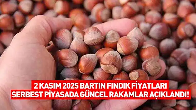 2 Kasım 2025 Bartın Fındık Fiyatları: Serbest Piyasada Güncel Rakamlar Açıklandı!