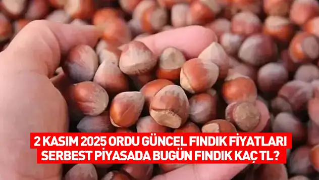 2 Kasım 2025 Ordu Güncel Fındık Fiyatları: Serbest Piyasada Bugün Fındık Kaç TL?