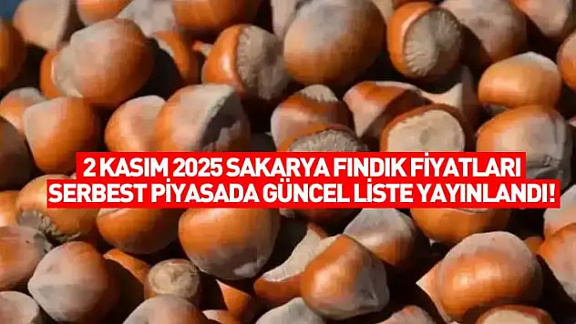 2 Kasım 2025 Sakarya Fındık Fiyatları: Serbest Piyasada Güncel Liste Yayınlandı!