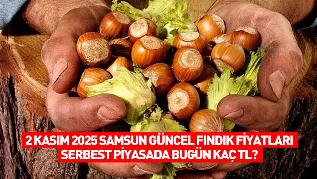 2 Kasım 2025 Samsun Güncel Fındık Fiyatları: Serbest Piyasada Bugün Kaç TL?