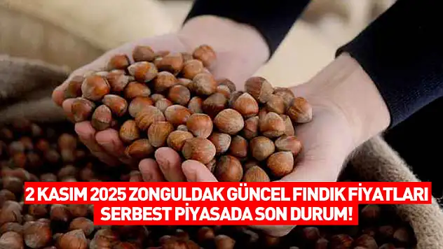 2 Kasım 2025 Zonguldak Güncel Fındık Fiyatları: Serbest Piyasada Son Durum!