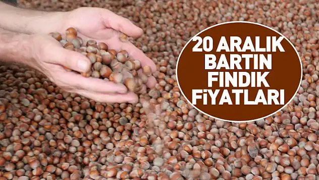 20 Aralık Bartın Fındık Fiyatları | Yıl Sonu Yaklaşırken Piyasa Sessiz ama Dirençli
