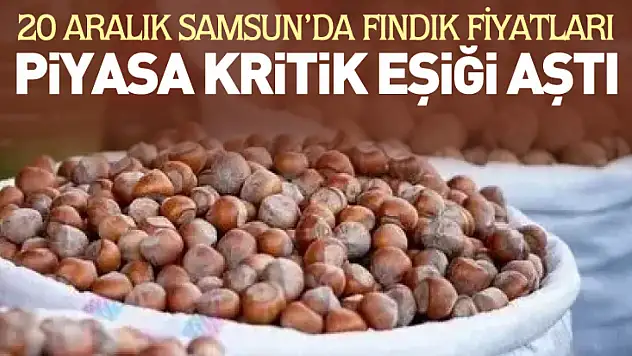 20 Aralık Samsun'da Fındık Fiyatları | Piyasa Kritik Eşiği Aştı