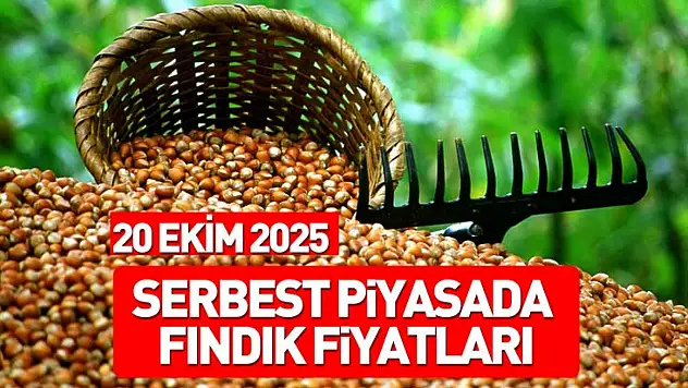 20 Ekim 2025 Fındık Fiyatları Açıklandı! Üretici Beklemede, Piyasa Sessiz