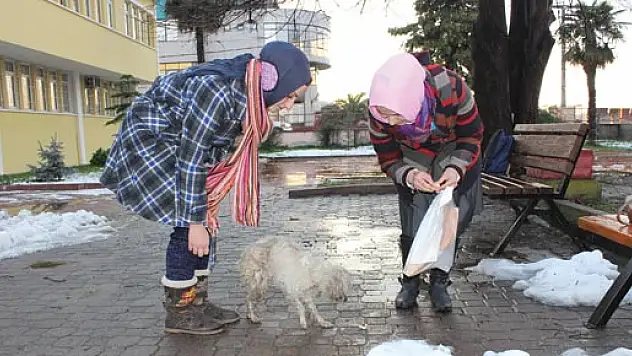 Çocuklardan Vicdan Dersi  