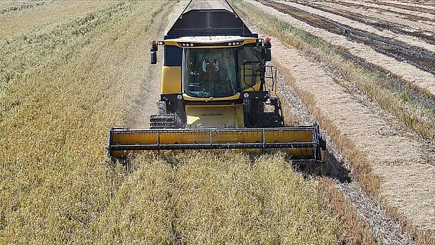 2025 yılında Çeltikte 988 bin ton rekolte bekleniyor