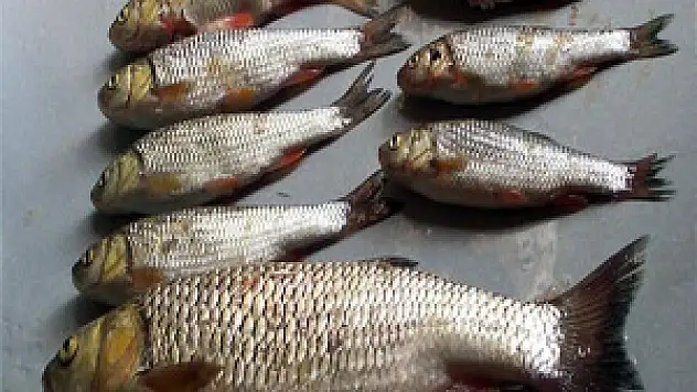 Rahatlatan açıklama