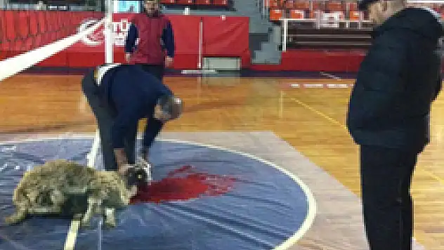  Salonda Kurban Kesmeye Soruşturma