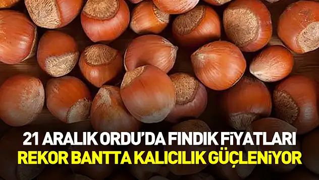 21 Aralık Ordu'da Fındık Fiyatları | Rekor Bantta Kalıcılık Güçleniyor
