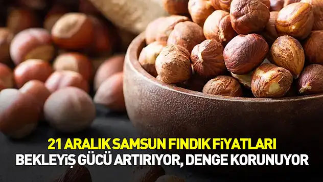 21 Aralık Samsun Fındık Fiyatları | Bekleyiş Gücü Artırıyor, Denge Korunuyor
