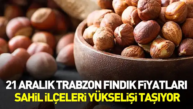 21 Aralık Trabzon Fındık Fiyatları | Sahil İlçeleri Yükselişi Taşıyor