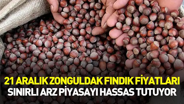 21 Aralık Zonguldak Fındık Fiyatları | Sınırlı Arz Piyasayı Hassas Tutuyor