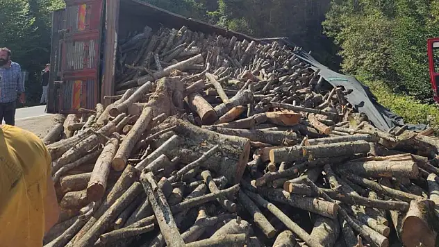 21 ton tomruk yola saçıldı