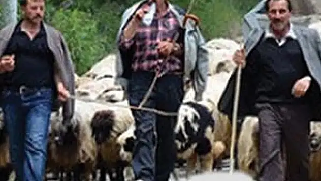 Hayvancılığa 2012 Yılında 2,2 Milyar Lira