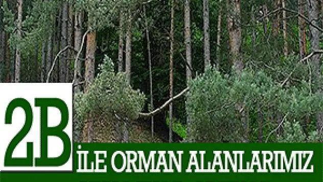 2B İLE ORMAN ALANLARIMIZ AZALMIYOR,ARTIYOR