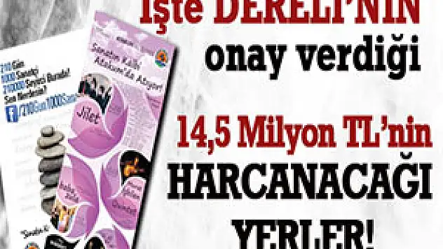İşte Dereli'nin onay verdiği 14,5 milyon tl'nin harcanacağı yerler!