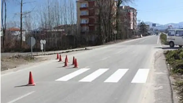 Fıkralara konu yaya geçidi