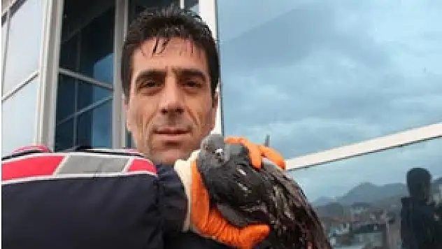 ÇATIDA SIKIŞAN GÜVERCİNİ İTFAİYE KURTARDI