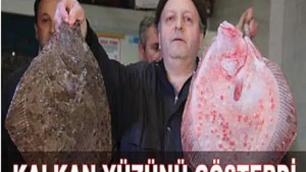 KALKAN YÜZÜNÜ GÖSTERDİ