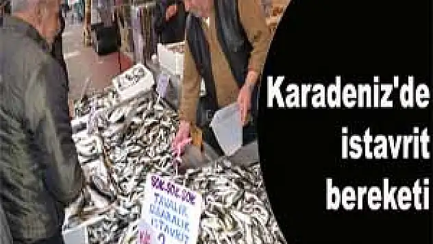 Karadeniz'de istavrit bereketi