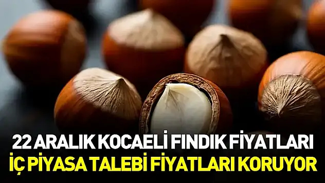 22 Aralık Kocaeli Fındık Fiyatları | İç Piyasa Talebi Fiyatları Koruyor
