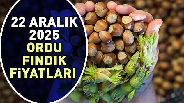22 Aralık Ordu'da Fındık Fiyatları