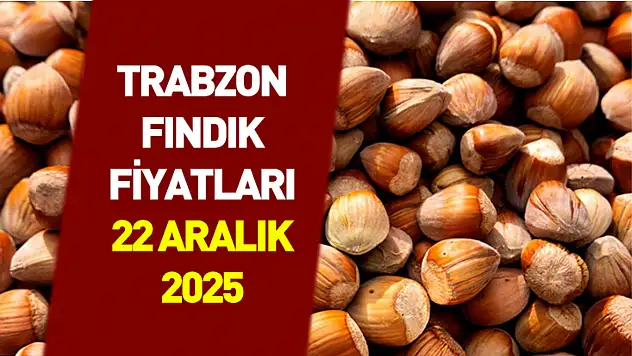 22 Aralık Trabzon'da Fındık Fiyatları | Sahil İlçelerinde Üst Bant Kalıcılığı