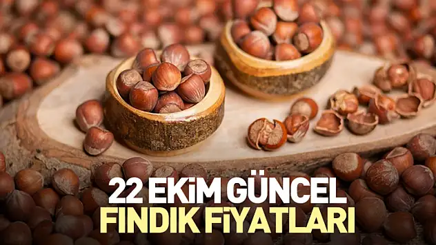 22 Ekim Güncel Fındık Fiyatları