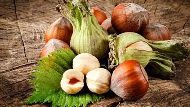 22 Kasım 2025 Giresun'da Fındık Piyasası |Son Fiyatlar ne kadar?