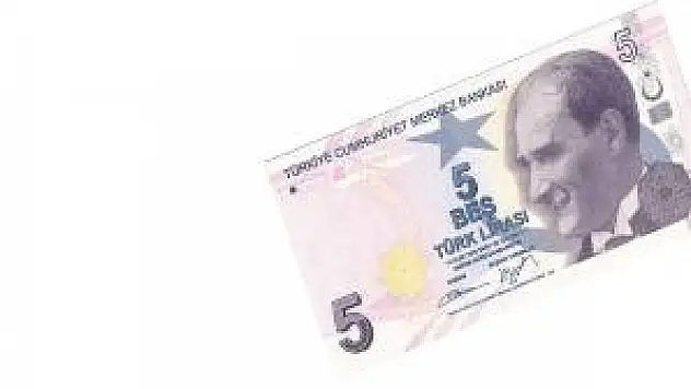 5 Lira 'mor'ardı