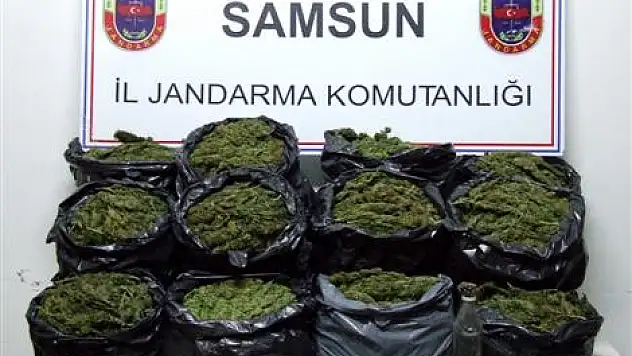 Jandarma 2010 yılında 169 kaçakçılık olayını ortaya çıkardı
