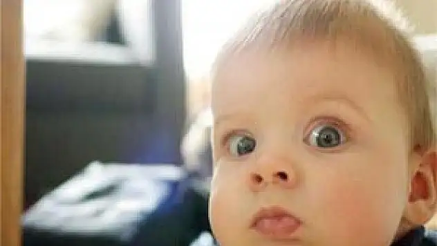 Bebek sayısında artış