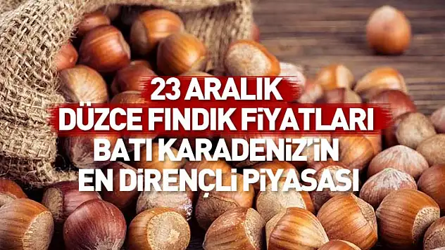23 Aralık Düzce Fındık Fiyatları | Batı Karadeniz'in En Dirençli Piyasası