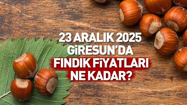 23 Aralık Giresun Fındık Fiyatları | Türkiye'nin En Değerli Fındığında Geri Adım Yok