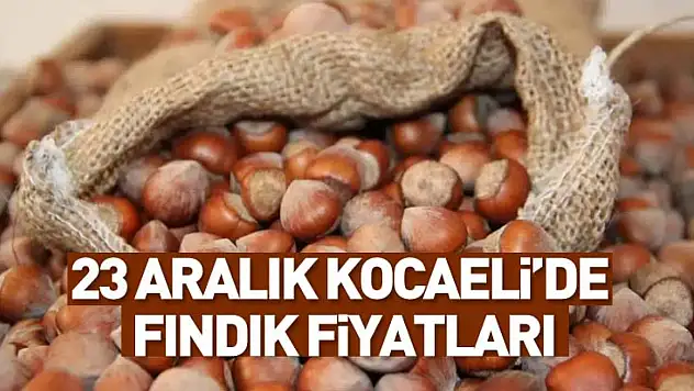 23 Aralık Kocaeli Fındık Fiyatları | Sanayi Ve Tüketim Baskısı Fiyatları Tutuyor