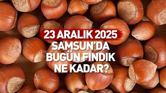 23 Aralık Samsun Fındık Fiyatları | Denge Bozulursa Hareket Sert Olur