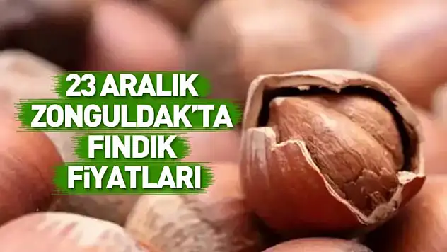 23 Aralık Zonguldak Fındık Fiyatları | Küçük Hareketler Büyük Dalgalara Yol Açıyor