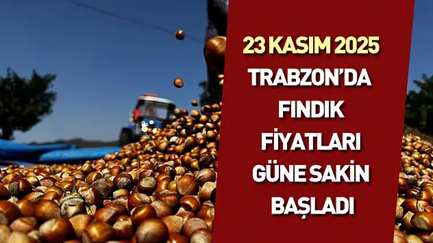 23 Kasım 2025 : Trabzon'da fındık fiyatları güne sakin başladı