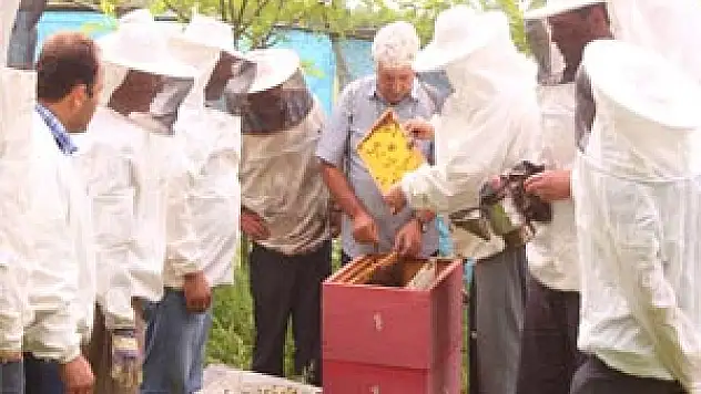 ÇARŞAMBA'DA ARICILIK KURSU