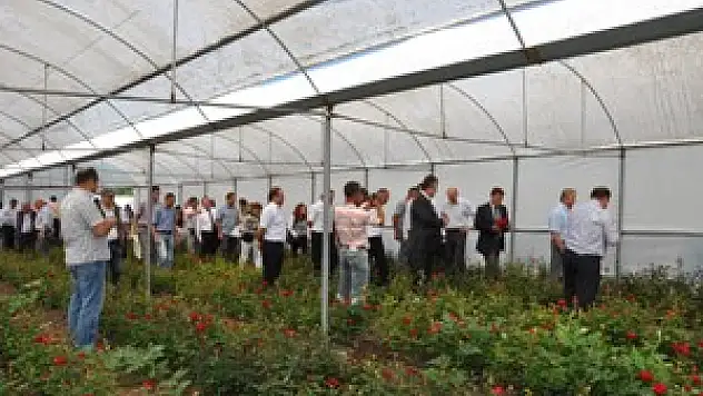 Kesme Çiçek Yetiştiriciliği Tarla Günü 