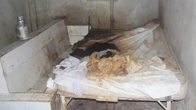 İNSANİ KOŞULLARDA YAŞAMAYAN KELEŞ'E DEVLET EL UZATTI