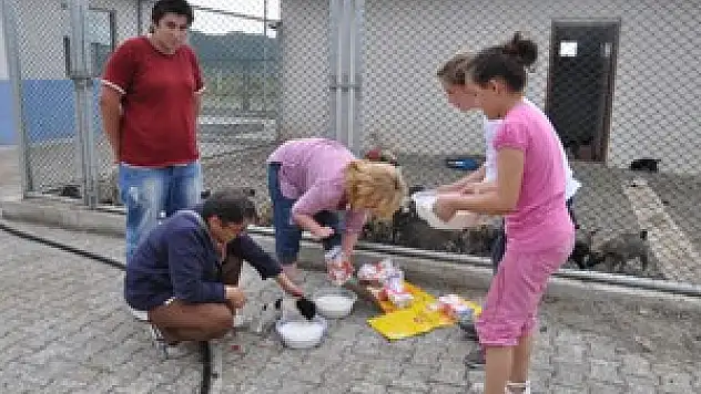 Hayvan Severler Barınağı Gezdi