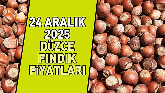 24 Aralık Düzce Fındık Fiyatları | Batı Karadeniz'in En Dirençli Piyasası