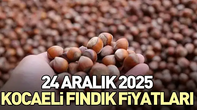 24 Aralık Kocaeli Fındık Fiyatları